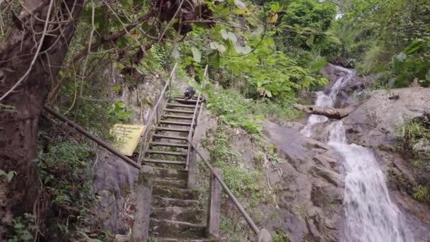 Perro Subiendo Por Escalera Cerca Cascada Mae Kampong Village Chiang — Vídeos de Stock