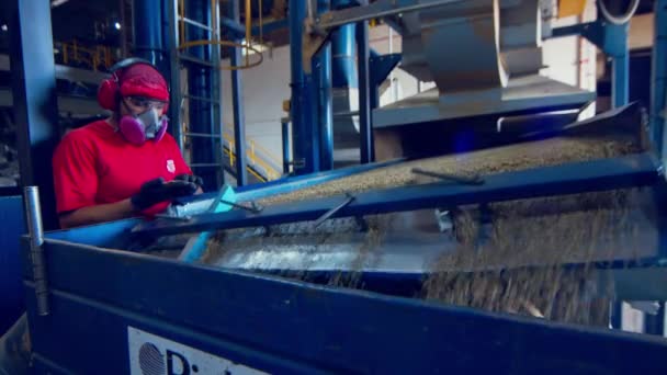 Separador Gravedad Grano Café Procesamiento Trabajadores Verdes Granos Orgánicos Sin — Vídeos de Stock