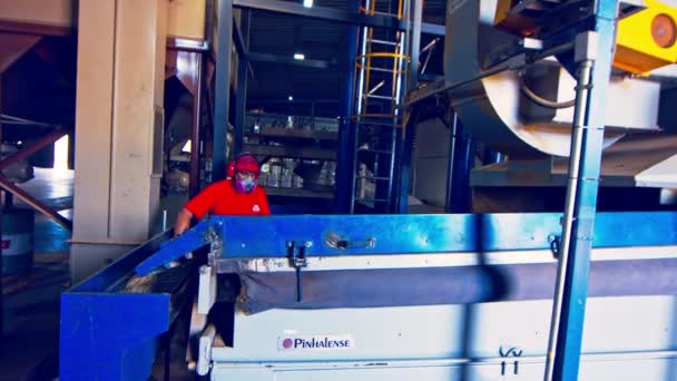 Worker Checking Coffee Bean Gravity Separator Factory — Stock Video