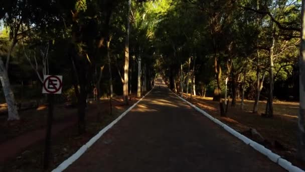 Pov Walking Botanical Garden Paraguay — Stock Video