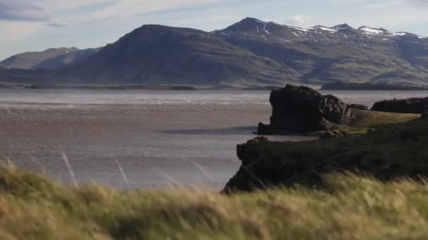 Día Ventoso Islandia Rural Mostrando Hierba Primer Plano Lago Fondo — Vídeos de Stock