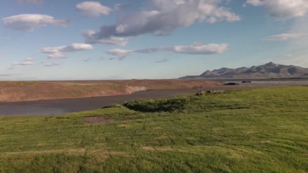 Kırsal Zlanda Çimlerin Hareket Ettiği Rüzgarlı Bir Gün — Stok video