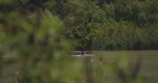 Tourist Kayaking Calm River Mtkvari Dense Forest Mountains Slow Motion — Stock Video