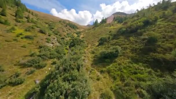 Fpv Flying Dry River Bed Turning Climb Green Hillside Davos — Stockvideo