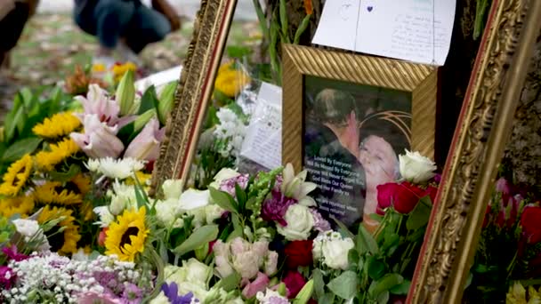 Photo Prince Phillip Kissing Queen Elizabeth Frame Surrounded Flowers Green — стокове відео