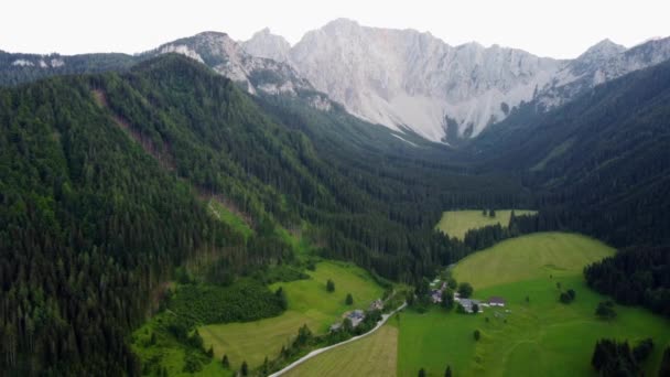 オーストリアの高い山の谷の農家 空中風景 — ストック動画