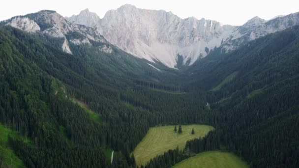 Enormes Bosques Frente Las Altas Montañas Austriacas — Vídeos de Stock