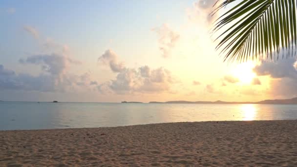 カラフルな夕日とヤシの木の前に囲まれた熱帯の砂浜のパン タイトル空間 — ストック動画