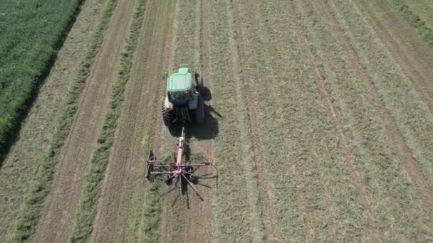 Campo Agrícola Suroeste Wisconsin Granjero Rastrilla Heno Usando Rastrillo Heno — Vídeo de stock