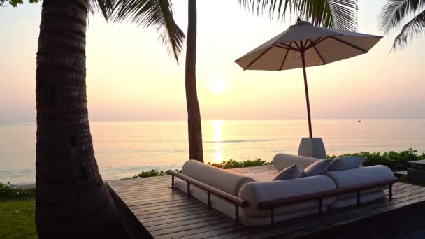 Güneş Pembe Bir Okyanus Ufkunun Üzerinde Batarken Palmiye Ağaçlarının Arasına — Stok video