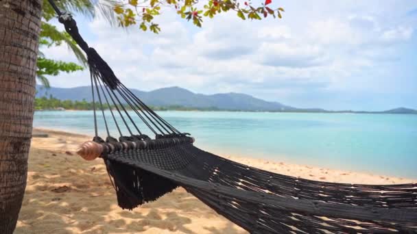 Close Een Hangmat Hangend Een Goudkleurig Zandstrand Kustlijn Zwaait Tropische — Stockvideo