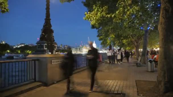 Timelapse Mourners Queue See Queen Elizabeth Walk Queen Walkway South — Stock Video