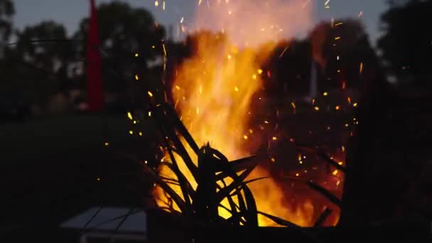 冬季夜间生火坑内的火警燃烧 — 图库视频影像