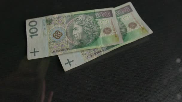 Витрати Гроші Польська Валюта Польський Зоті Польський Злотий Використання Динамічних — стокове відео