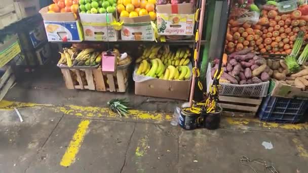 Vídeo Mercado Frutas Legumes Dois Trabalhadores Podem Ser Vistos Pesando — Vídeo de Stock