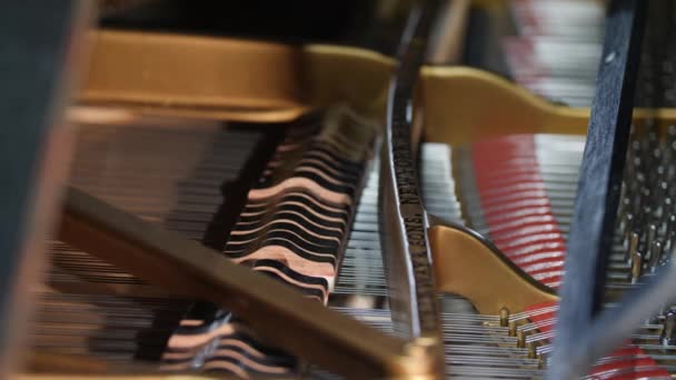 Κοντινό Πλάνο Του Piano Hammer Συναρμολόγησης Κινείται Πιανίστας Παίζει Μουσική — Αρχείο Βίντεο