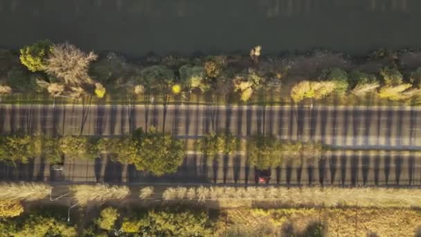 Drone Tiro Carros Passagem Uma Avenida Com Vegetação Perto Rio — Vídeo de Stock