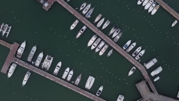 Båtar Förtöjda Hamnen Punta Del Este Uruguay Flyg Uppifrån Och — Stockvideo