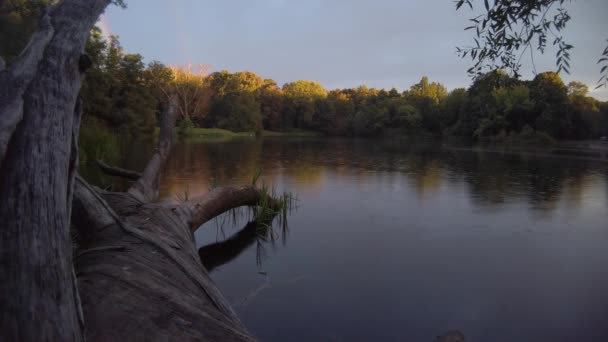 Zonsondergang Gouden Uur Geeft Kleur Aan Bomen Met Kalme Meer — Stockvideo