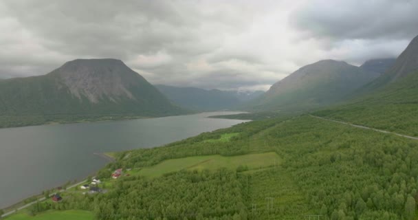 노르웨이 노르드 향하여 고속도로 숲으로 뒤덮인 비행기 — 비디오