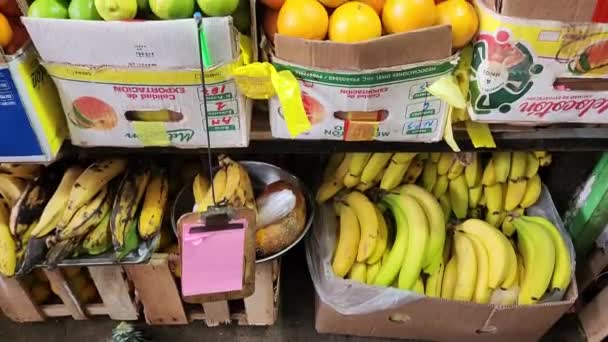 Video Fruit Market Many Foods Can Seen Bananas Oranges Lemons — Stock Video