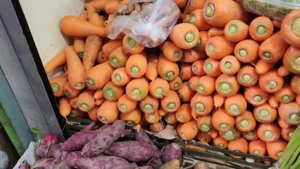 Video Many Carrots Food Market Carrots Stacked Few Asparagus Other — Stock Video