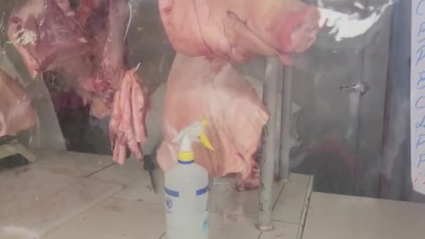 Video Eines Schweinekopfes Hinter Einer Plastikfolie Auf Dem Fleischmarkt Kamera — Stockvideo