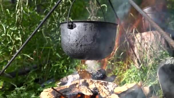 Cuisiner Nourriture Feu Camp Avec Pot Métal Dans Nature Arrière — Video