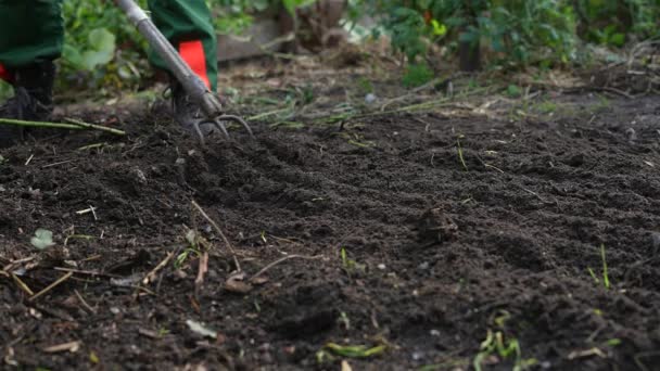 Farmer Working Soil Farming Concept — Stock Video