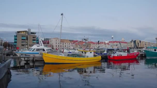 Port Hobart Tasport Hobart Cbd Sunset Hour Hobart Tasmania Habour — Stock Video