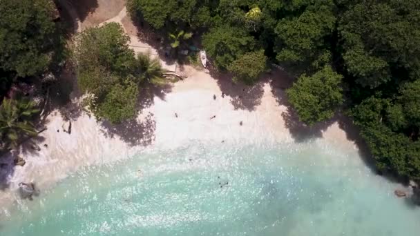 Drón Videó Boston Beach Portland Jamaica — Stock videók