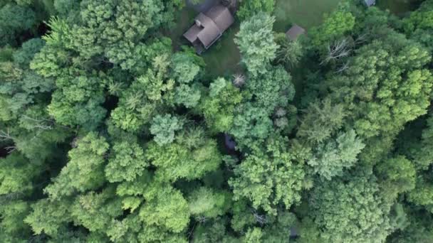 Drone Evlerin Sayısız Ağaçla Çevrili Olduğu Kırsal Bölgenin Hava Görüntülerini — Stok video