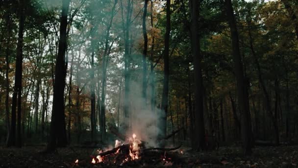 Wide Shot Halloween Bonfire Middle Woods Background Camping Mysterious Frightening — Stock Video