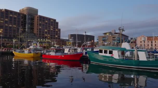 Hobart Limanı Hobart Cbd Tasport Günbatımı Saatinde Hobart Tazmanya Limanı — Stok video