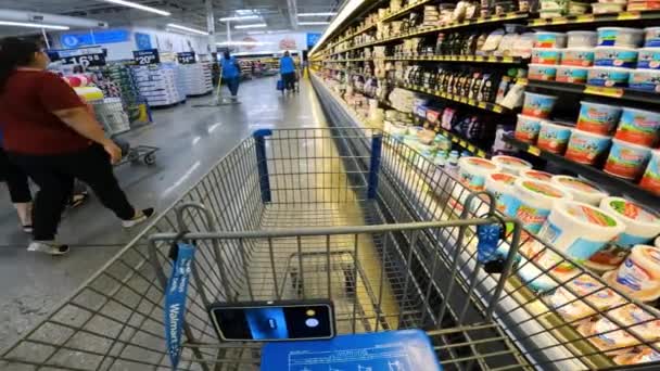 Pov While Pushing Cart Partially Empty Refrigerated Shelves Intended Dairy — 图库视频影像