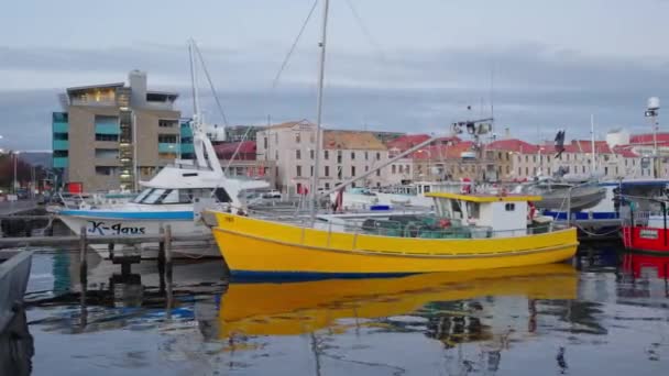 Port Hobart Tasport Hobart Cbd Sunset Hour Hobart Tasmania Habour — Stock Video