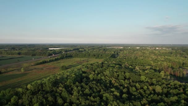 Drone Bilder Visar Ett Stort Grönt Område Omgivet Träd Buskar — Stockvideo
