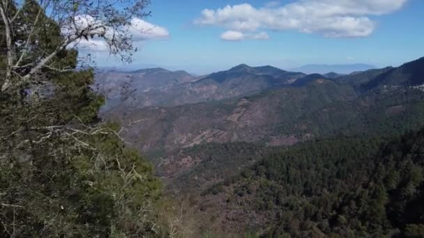 Vue Aérienne Des Montagnes Plan Ouvre Avec Arbre Passant Près — Video