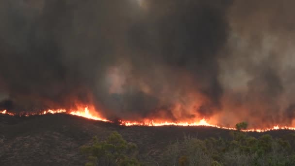 Incendios Forestales Furiosos Ardiendo Través Del Bosque California Árboles Llamas — Vídeos de Stock