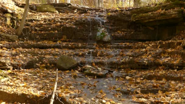 秋の自然の美しいショット 落ち葉と滝が流れる — ストック動画