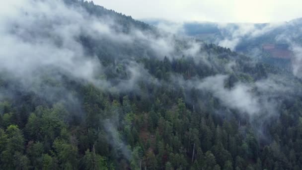 フランス ヴォージュ 4Kで 大きな霧の白い雲と暗い山の森の空中側のビュー — ストック動画