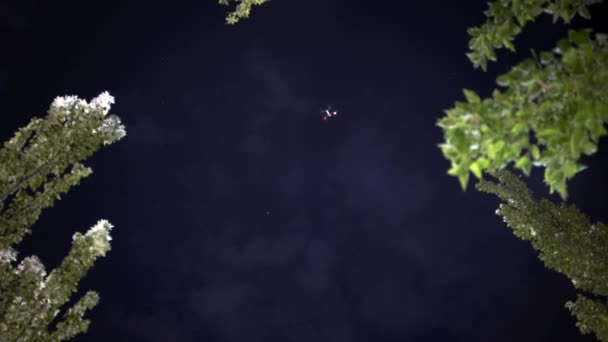 Drone Flying Night Sky Next Some Trees View Ground — Stock Video
