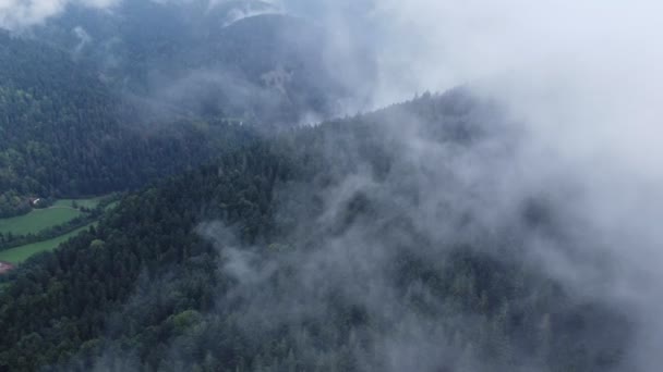 Luchtfoto Van Een Donker Bergwoud Met Grote Humeurige Witte Wolken — Stockvideo