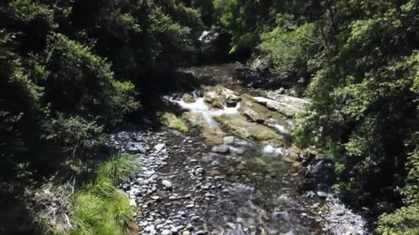 Drone Vliegt Achteruit Langs Bergbeekjes Het Regenwoud Uit — Stockvideo