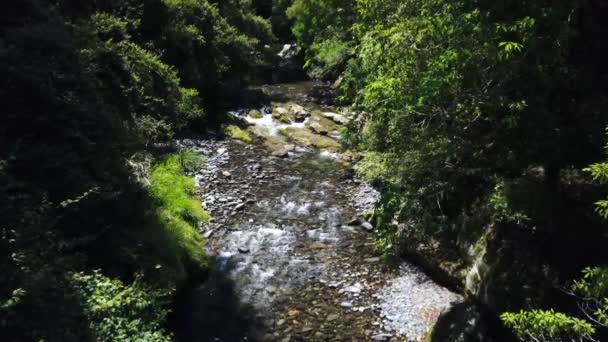 Drone Vliegt Boven Een Bergstroom Dieper Het Regenwoud — Stockvideo