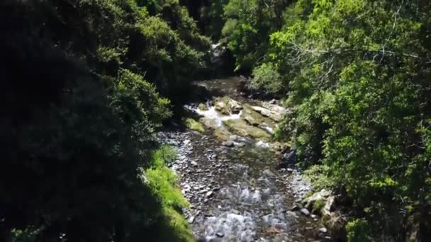 맥에서 올라와 천천히 올라가 주변의 우림을 드러낸다 — 비디오