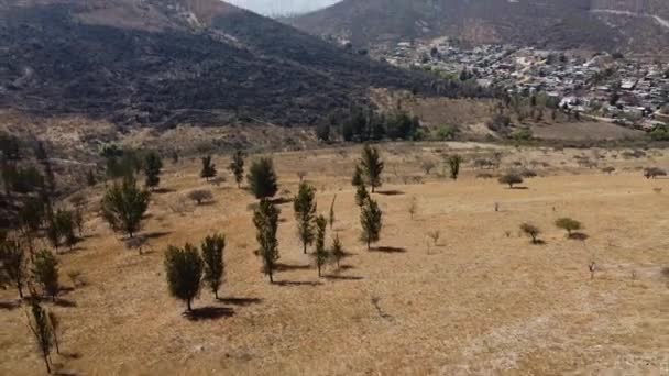 Légi Felvétel Oaxacáról Monte Alban Romjainál Tehuantepec Istmójában — Stock videók