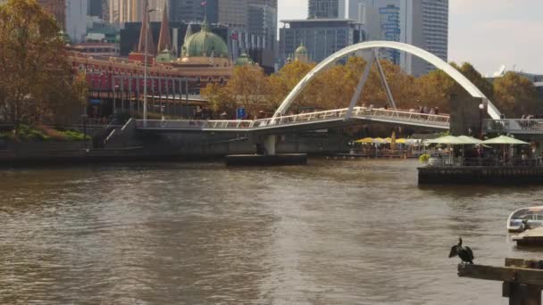Река Ярра Мельбурне Сторону Моста Эван Уокер Наслаждаясь Видом Район — стоковое видео