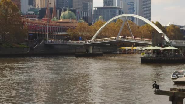 Persone Che Godono Una Giornata Autunnale Distretto Southbank Melbourne — Video Stock