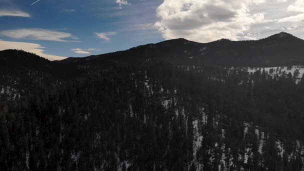 Vídeo Aéreo Floresta Nas Montanhas Árvores Sem Fim Nas Montanhas — Vídeo de Stock